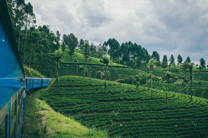 Desde Kandy : Billete de tren panorámico de primera clase Odyssey a Ella