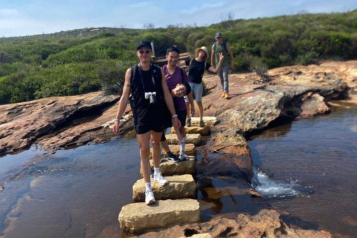 Sydney: Royal National Park Coast & Rainforest, Koalas & Lunch
