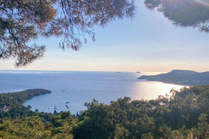 Princes' Island Hidden Coves schilderachtige boottocht (rond het eiland)