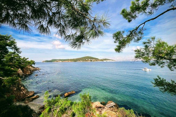 Princes' Island Hidden Coves schilderachtige boottocht (rond het eiland)
