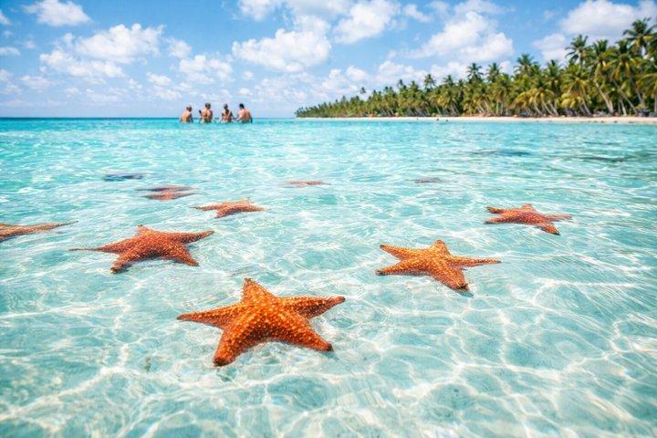 Saona Island Speedboat Tour fra Punta Cana + Naturpool