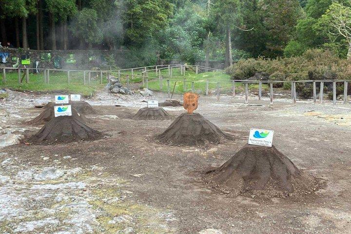 São Miguel: Furnas, Hot Springs och Gorreana Tea