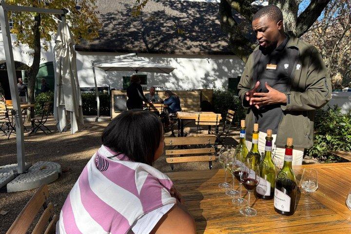 Cidade do Cabo Tour de dia inteiro Franschhoek Wine Tram com transferências
