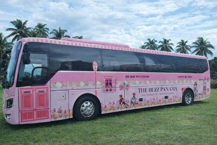 Te Bus City Sightseeing med show om bord