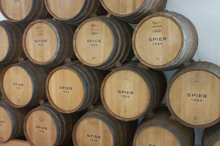 Cape Winelands: Franschhoek och Stellenbosch Experience Tour