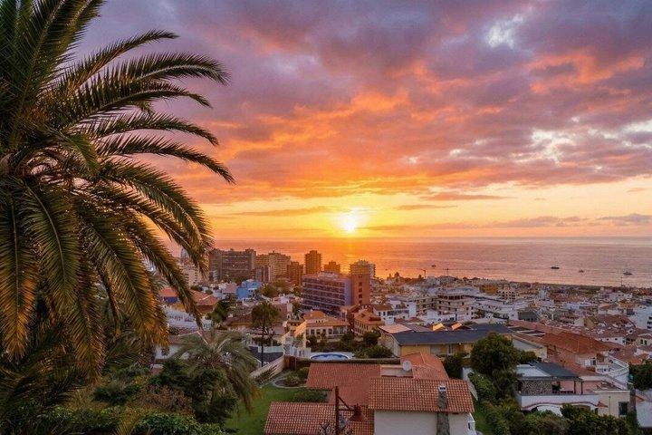 Visite guidée privée au Teide et au Nord de Tenerife
