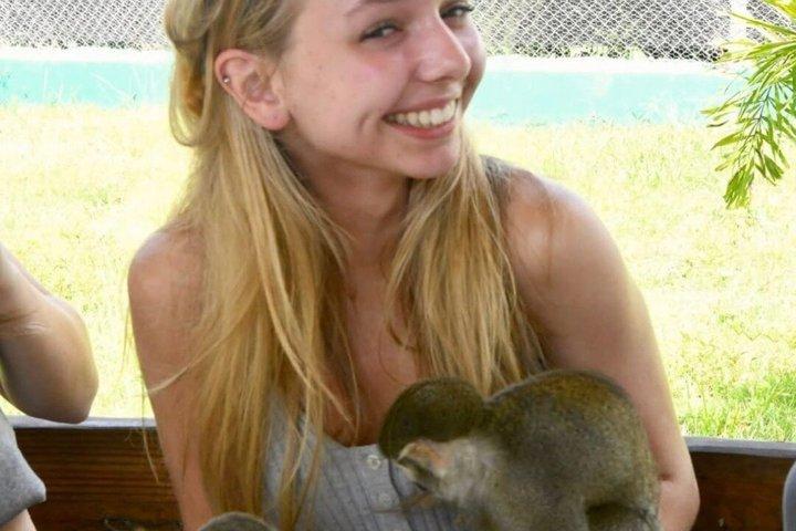 Sorria com os macacos | Porto de cruzeiros de Amber Cove e Tayno Bay