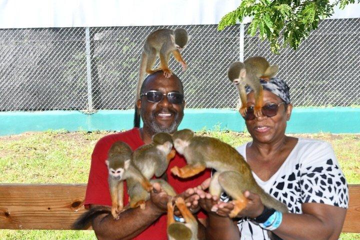 Sorria com os macacos | Porto de cruzeiros de Amber Cove e Tayno Bay