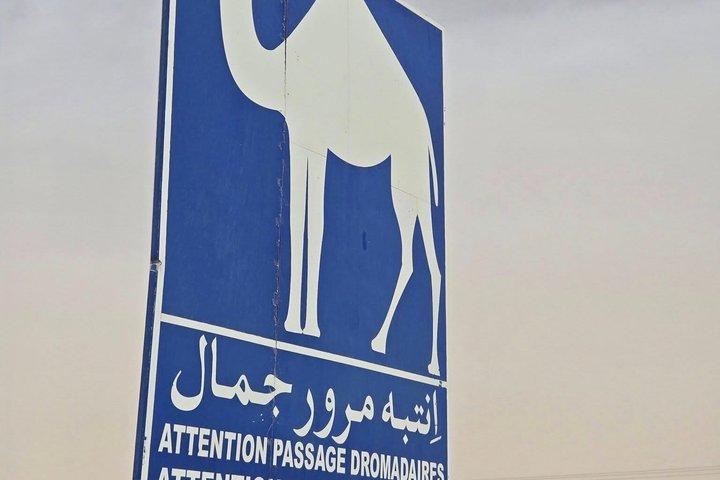 4 dagars Sahara Desert Discovery Tour från Djerba