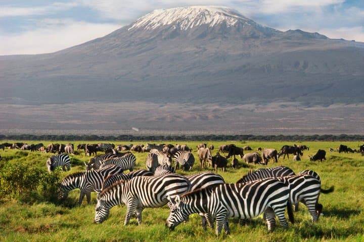 8 Days High End Kenya Luxury Safari