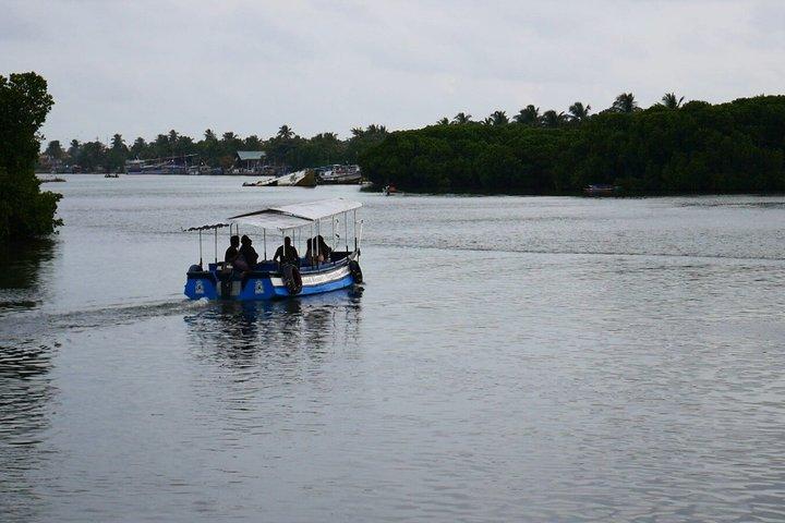 ディスカバー・ニゴンボスリランカの海岸の宝石文化日帰りツアー