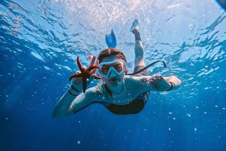 Kamiros Skala: Marine Life Experience