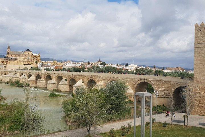 Privé-dagexcursie naar Cordoba vanuit Sevilla