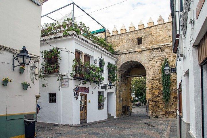 Privé-dagexcursie naar Cordoba vanuit Sevilla