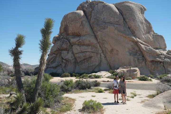 1 - Día Joshua Tree National Park Aventura privada desde San Diego