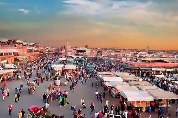 Guided city tour of Marrakech with official art historian guide