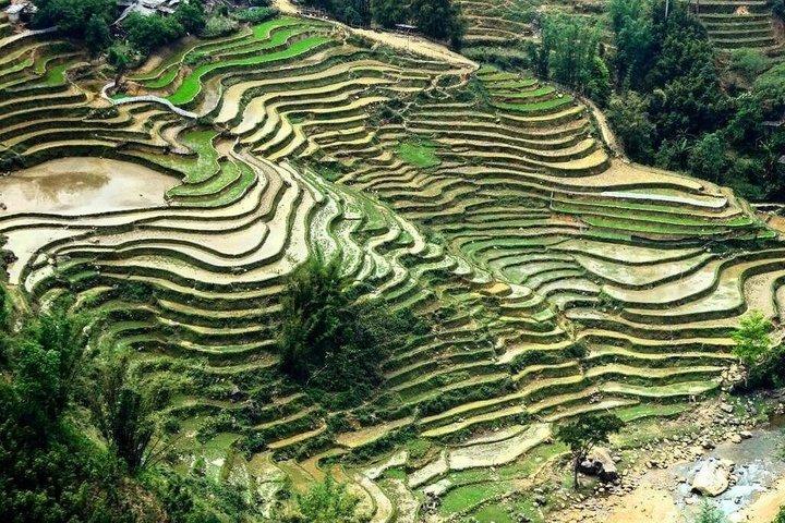 Sapa Trekking Tour 2 dagar 1 natt från Hanoi