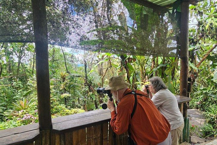 Mindo Cloud Forest: Rundtur med kolibrier, fåglar och vattenfall