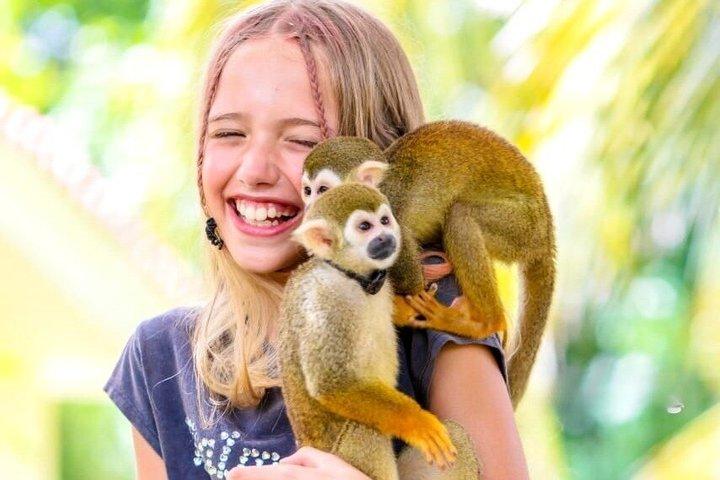 Punta Cana Ridtur till Monkeyland och Macao Beach