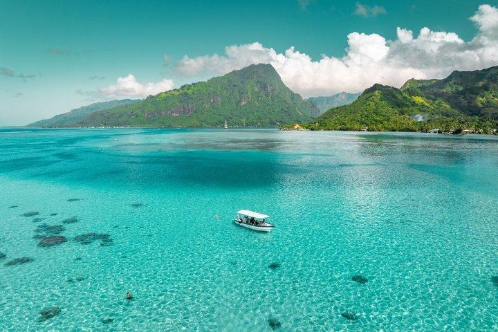 Moorea Lagoon Tour Snorkeling con squali e razze