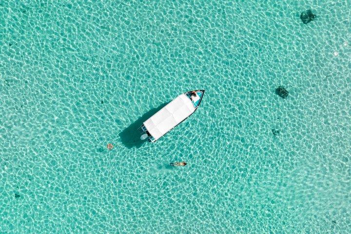 Moorea Lagoon Tour Snorkeling con squali e razze