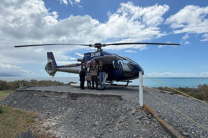 Excursión privada de un día a Kaikoura desde Christchurch