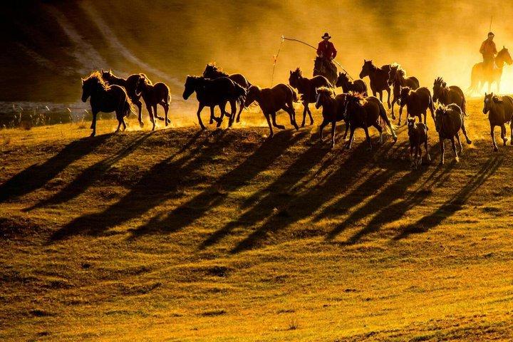 Cappadocia Horse Riding Tour no nascer ou no pôr do sol