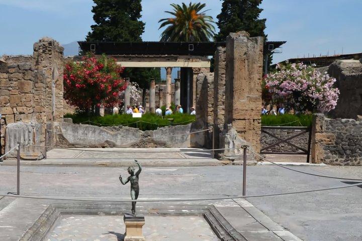 Privé dagtrip vanuit Rome : ontdek Pompeii & de kust van Amalfi