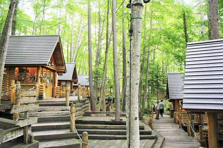 北海道:美瑛青い池と富良野フラワーファームへの日帰り旅行