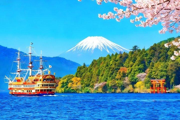 De Tokyo Visite d'une journée de Hakone et Owakudani