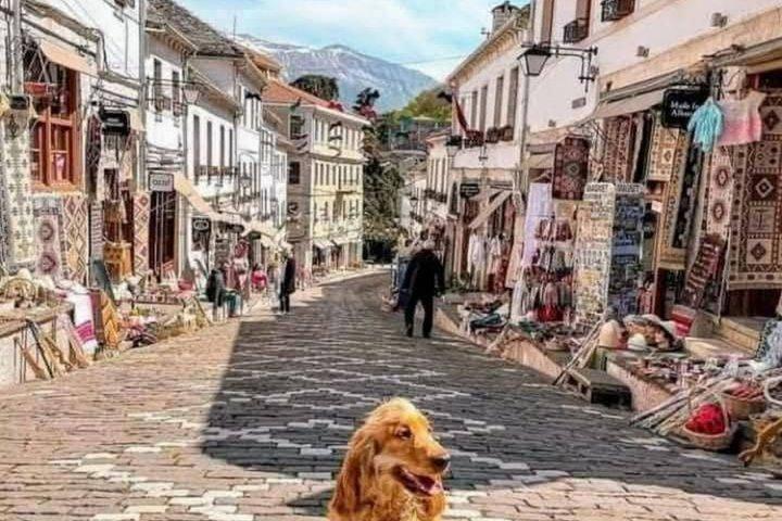 Saranda : Château de Lekursi, Œil bleu, Gjirokaster et plus