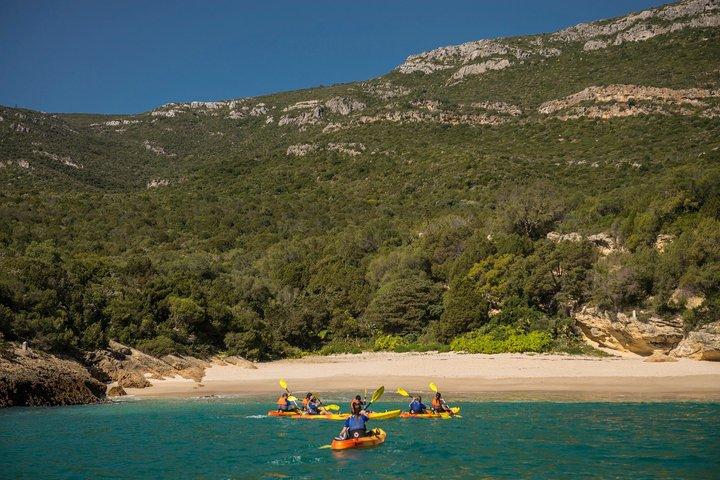 Comporta Troia Fuld dag oplevelse og Arrabida