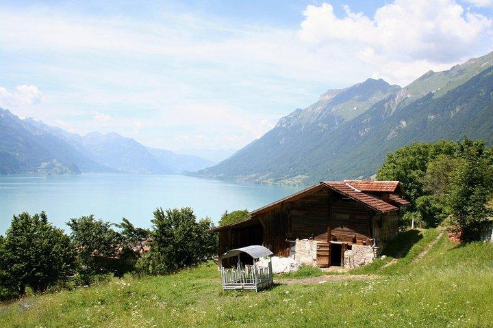 チューリッヒからスイスアルプス湖とベルンへのプライベート日帰り旅行
