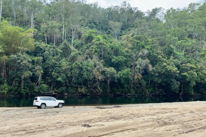 Cairns Rainforest & Waterfalls 4WD Half-Day Tour
