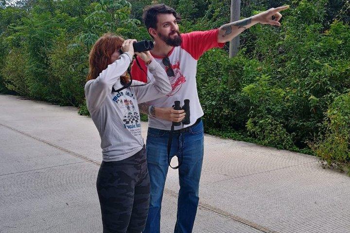 Cozumel Birding Tours - Private & Small Group Specialist