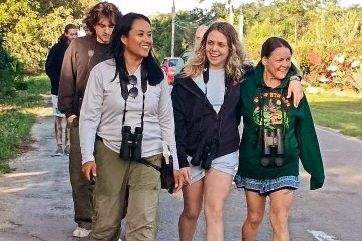 Cozumel Birding Tours - Private & Small Group Specialist