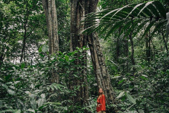 Munduk Twin Lake Jungle Trek with Sacred Forest Temples&Canoeing