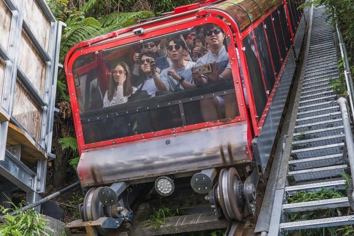 Blue Mountains, Sydney Zoo, Scenic World from Sydney