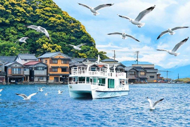 Excursión de un día completo desde Kioto