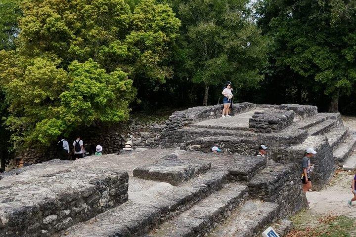 Ruinas mayas de Chacchoben Transporte desde Mahahual