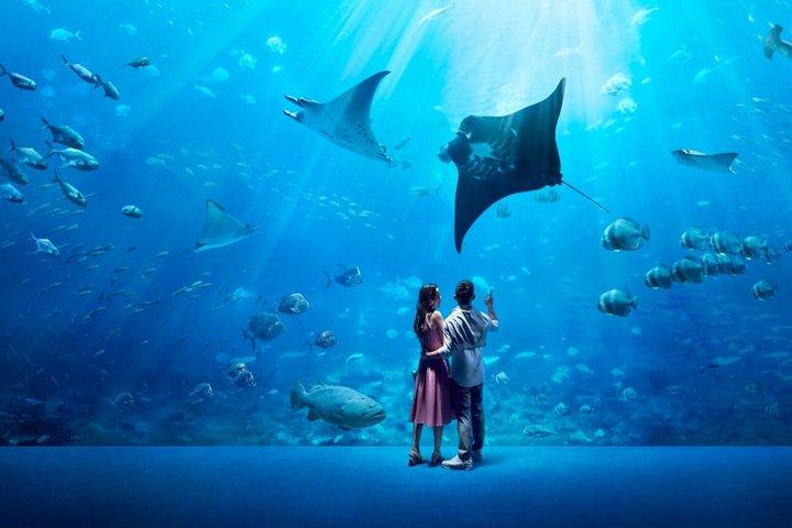 Singapur Oceanarium Eintrittskarte
