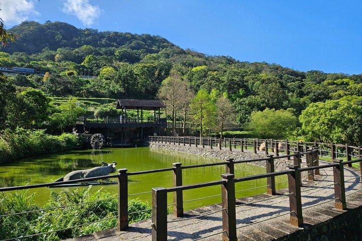 Pinglin-Teekultur und Maokong-Tagestour ab Taipeh
