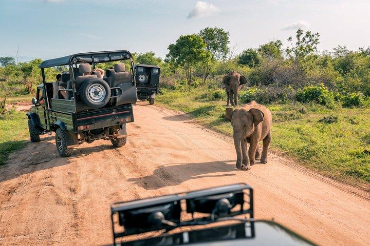 2 nätter och 3 dagars Kruger National Park Safari och panoramarutt