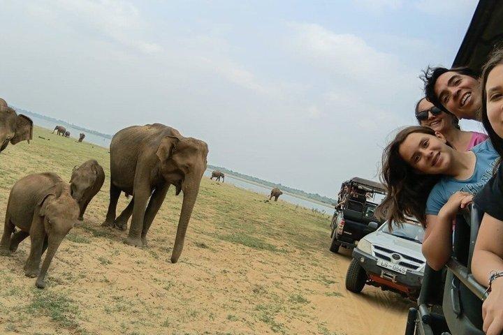 Private Tour from Ella to Hiriketiya with Udawalawe Safari