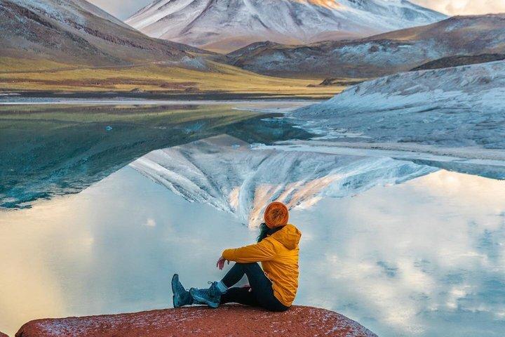 Visite des roches rouges et des lagunes de l'Altiplano