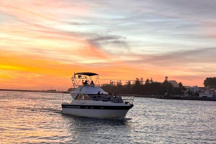 Porto: Charmante cruise langs de 7 bruggen met Porto, optie voor zonsondergang