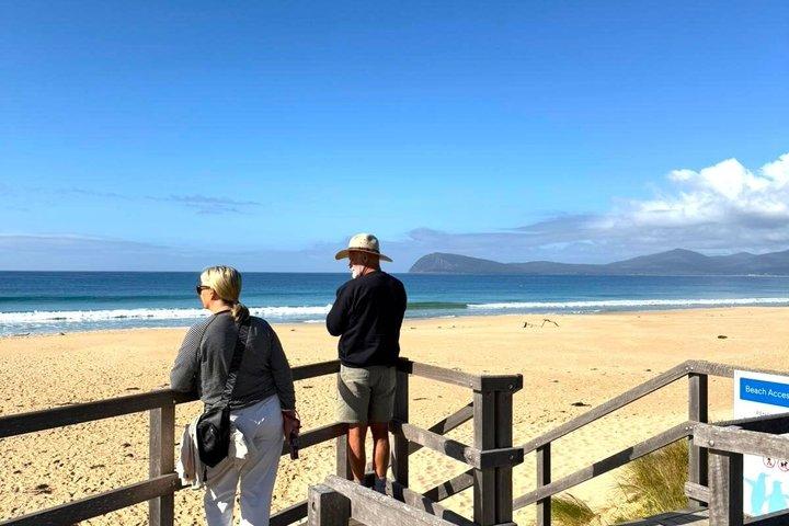 Bruny Island Discovery Tour