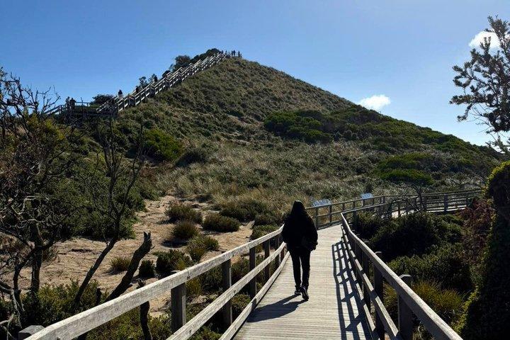 Bruny Island Discovery Tour