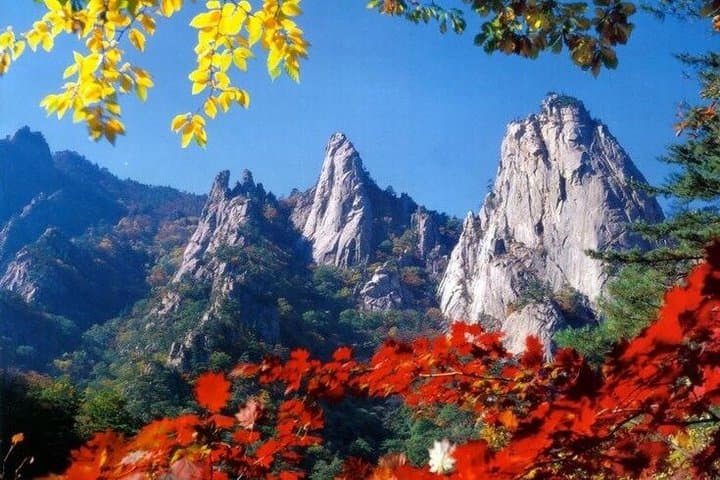 Seoraksan, Nami Island & Morning Calm Garden Day Tour from Seoul
