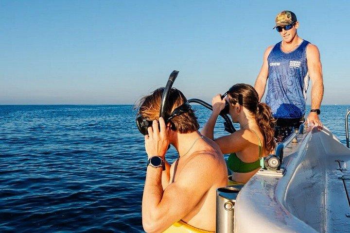 Privat katamaran krydstogt og snorkeltur i Honolulu